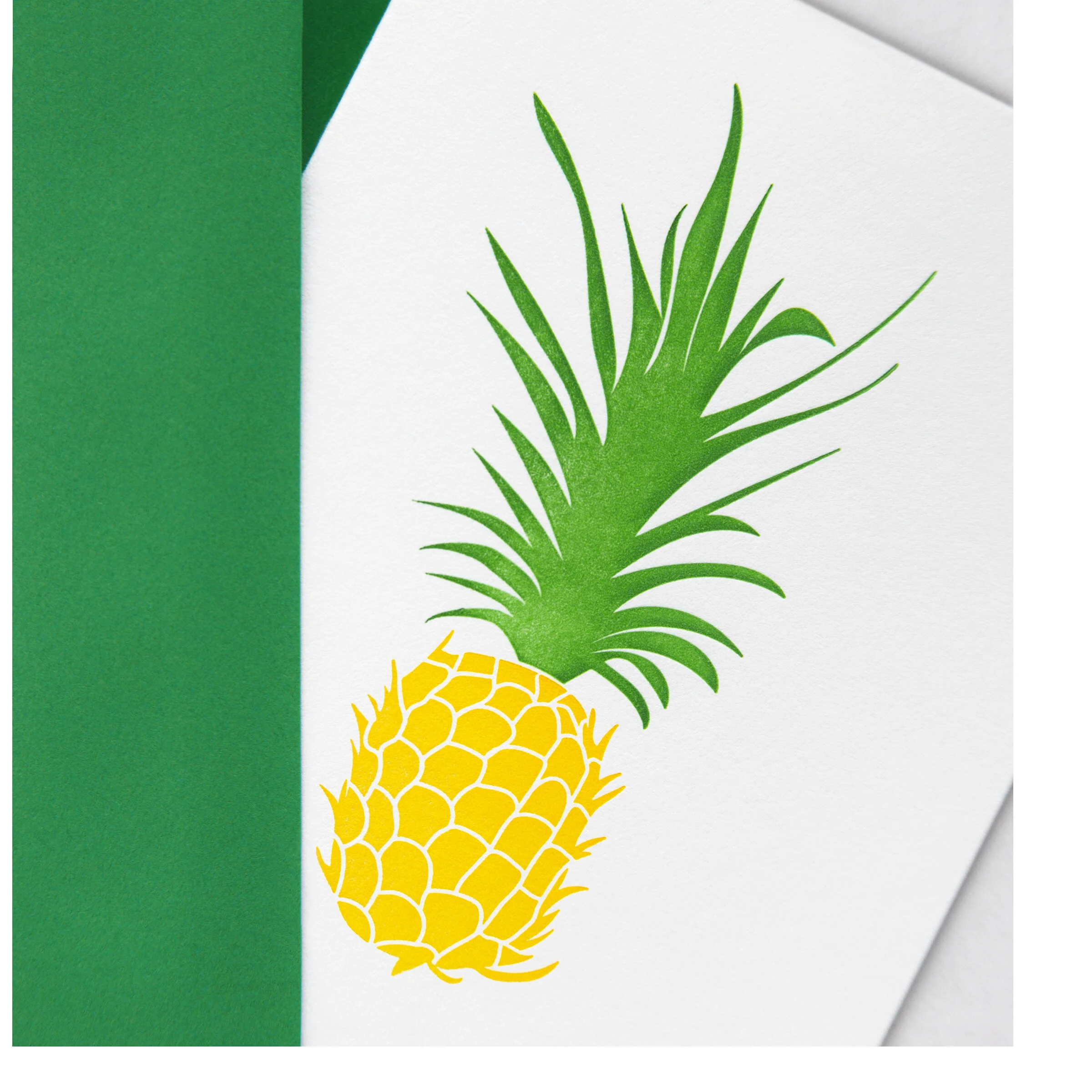Pineapple Aloha Front Texture Adjusted.jpg