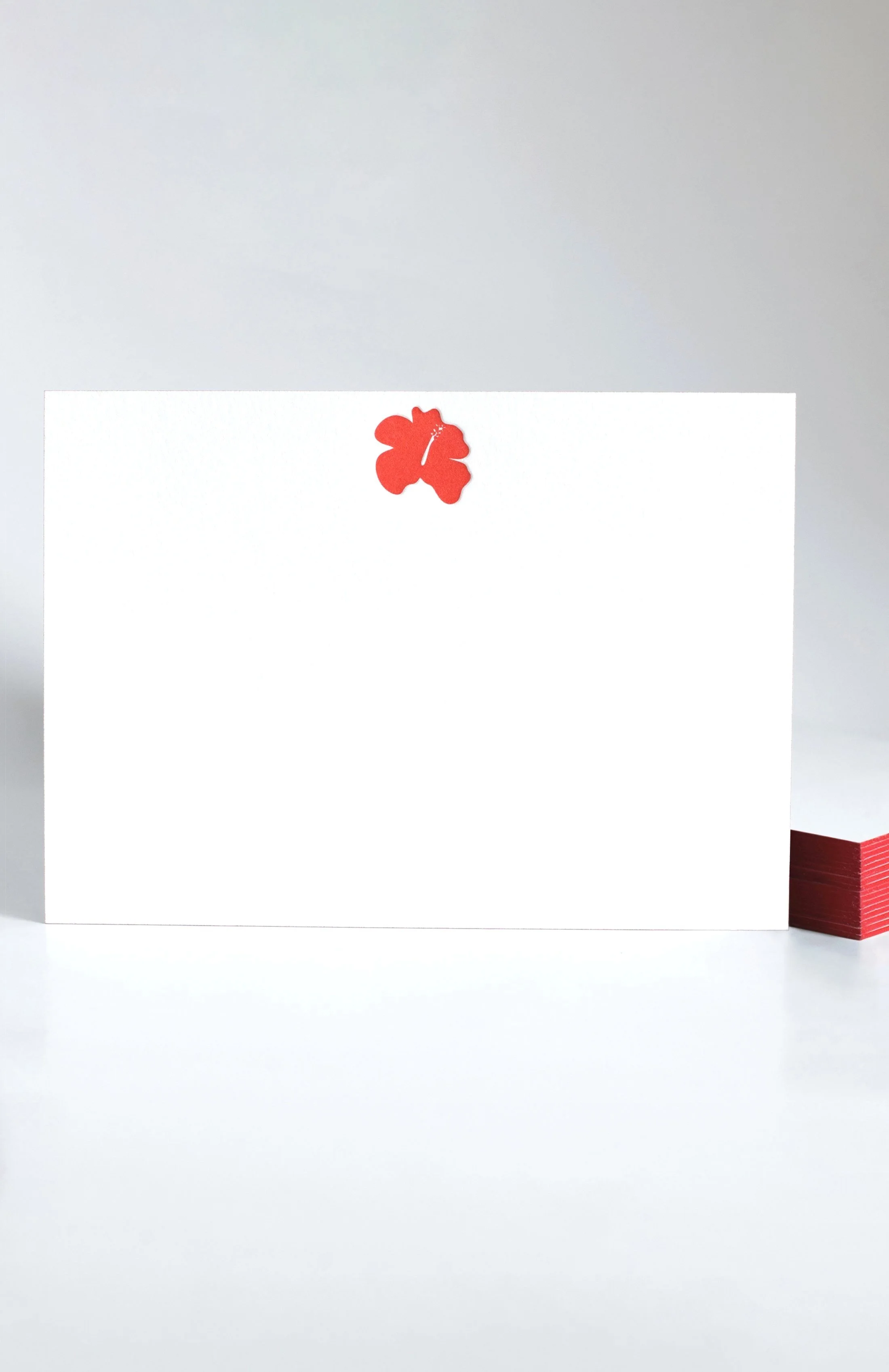 Hibiscus%2B2024.jpg