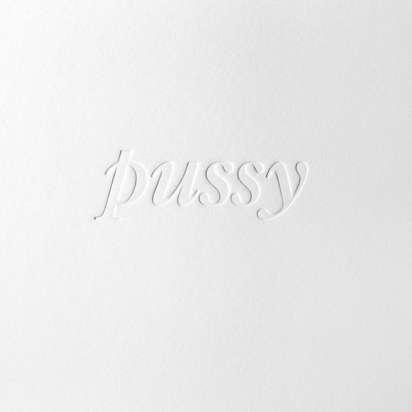 Pussy Embossed Detail square.jpg