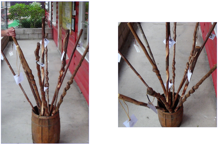 Walking sticks ... with mystery hand.