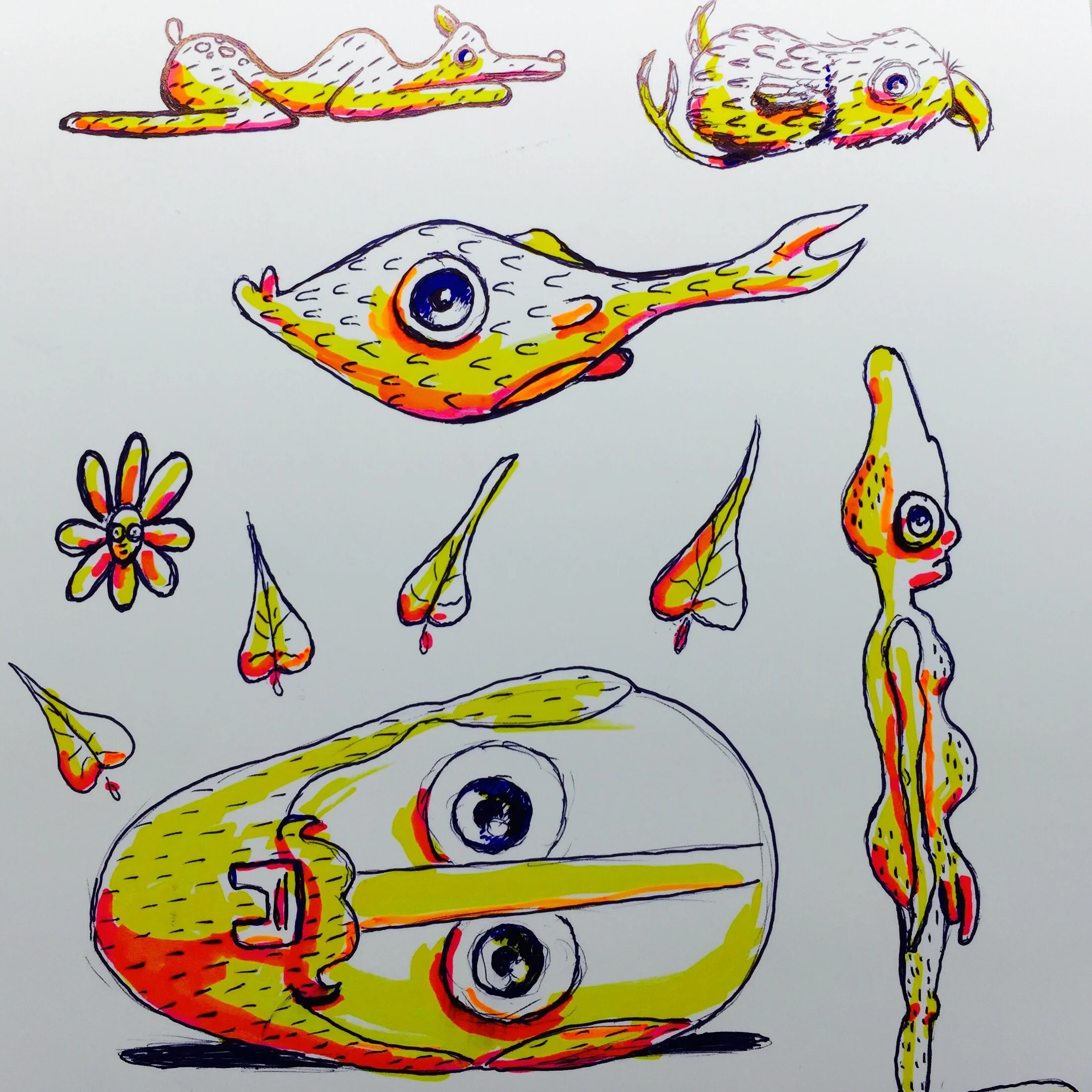 image.jpg