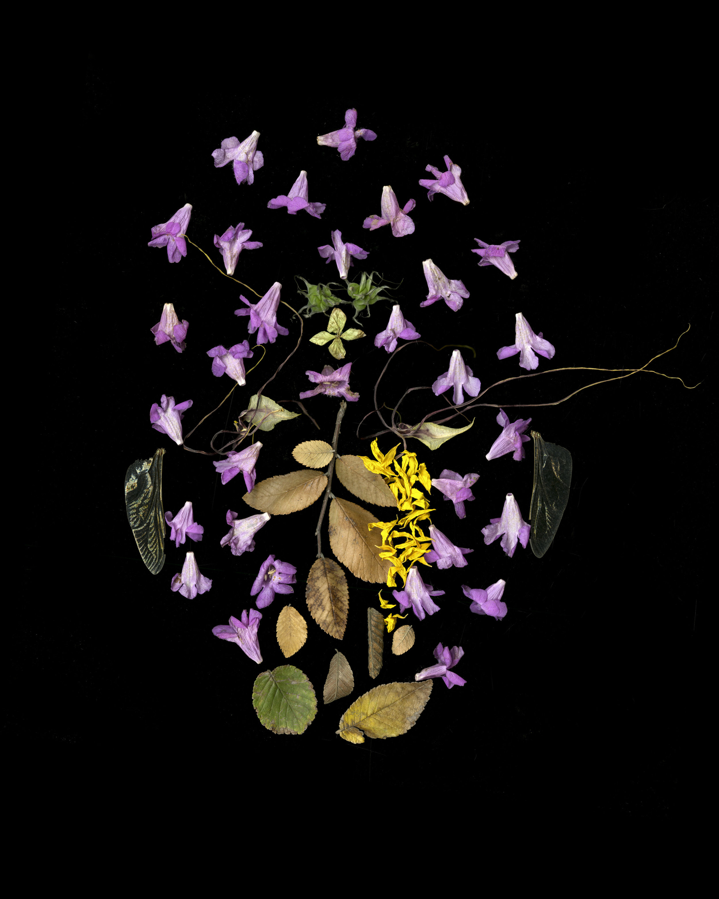 In the Patterns.jpg