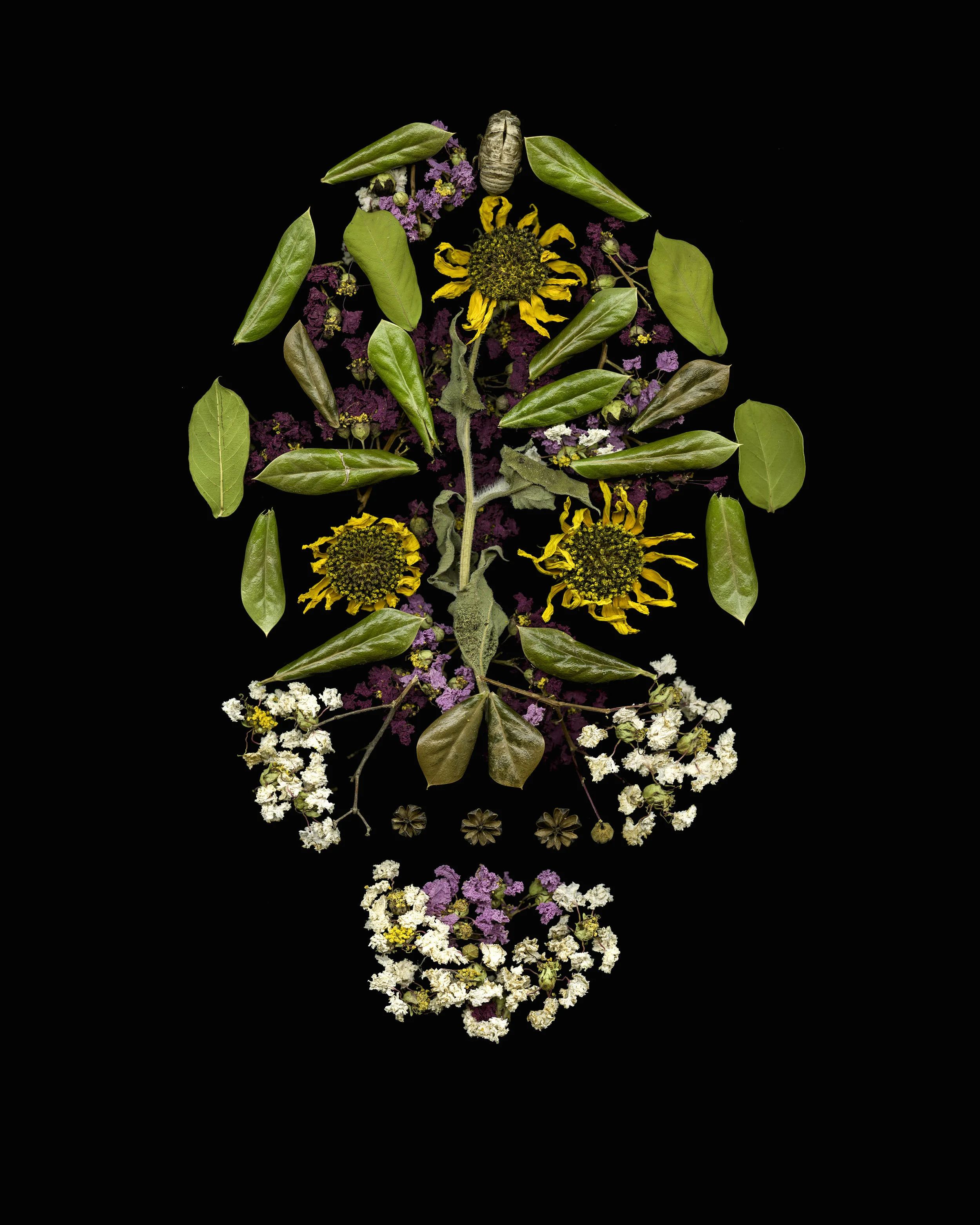 YouAreNature 48x60.jpg
