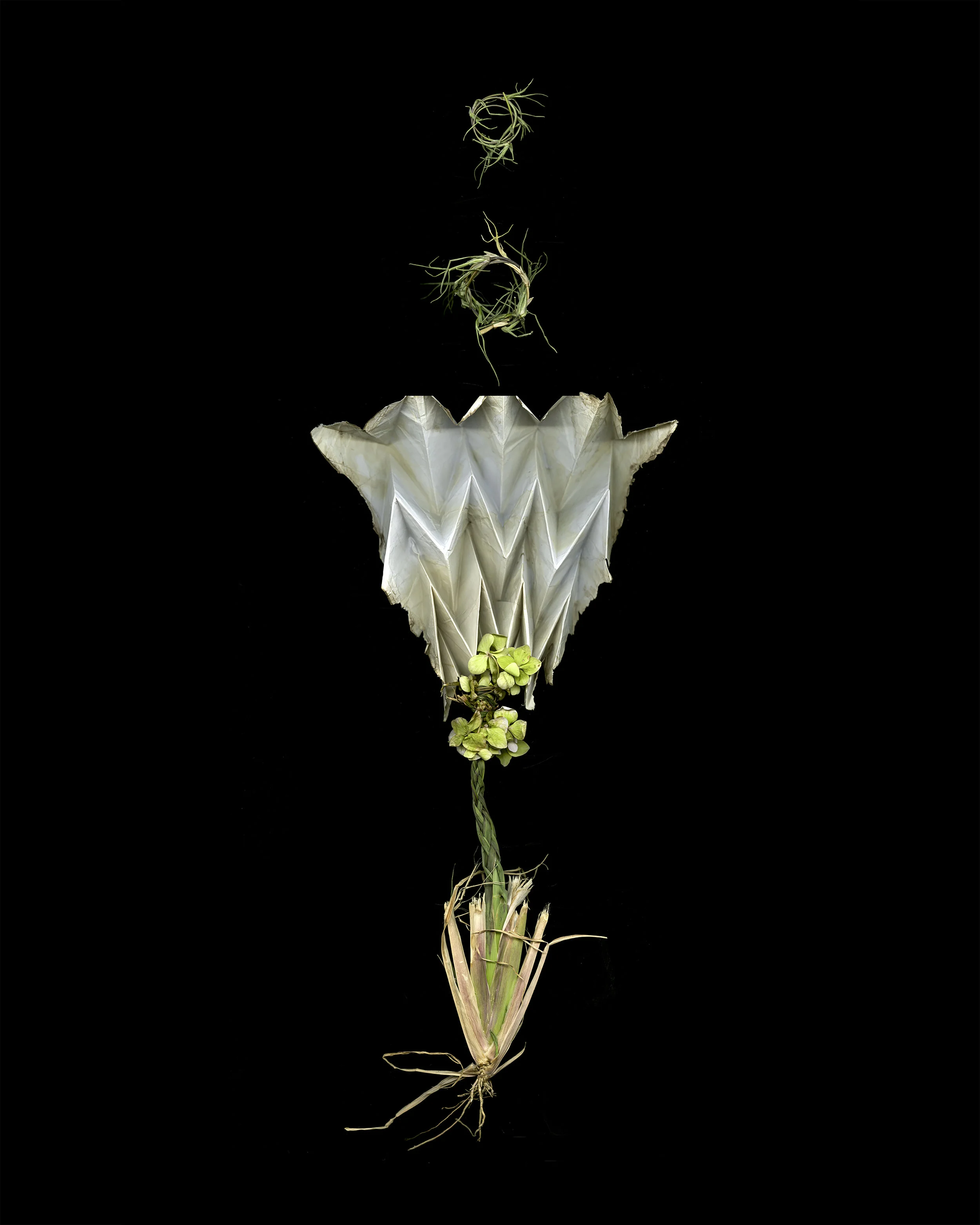 Oragami Flower.jpg
