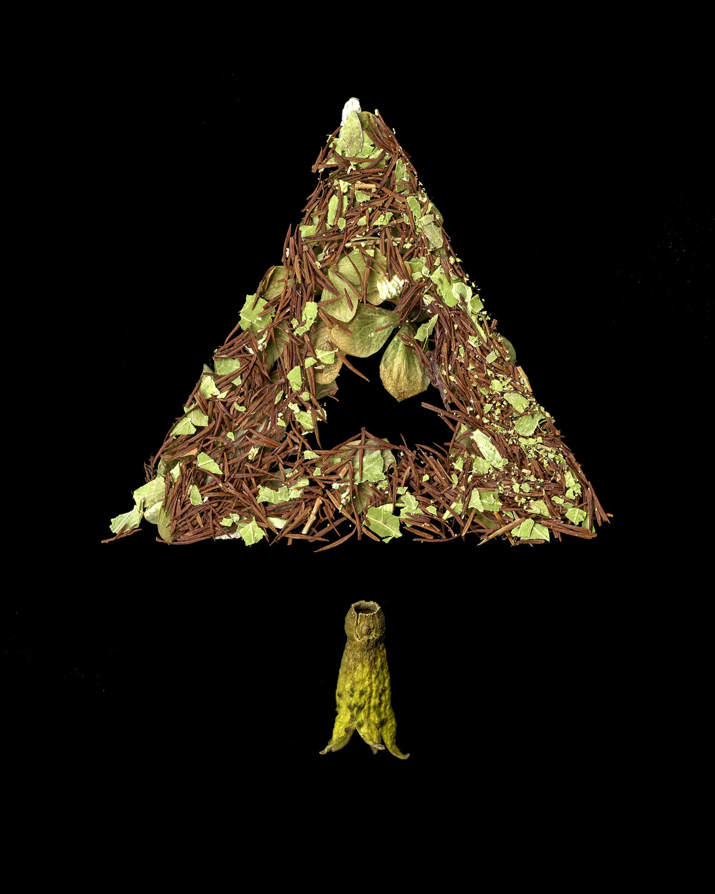 Triangle.jpg