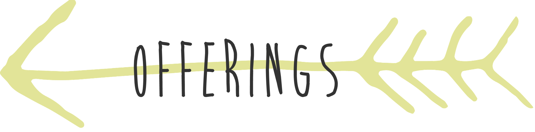 offerings.png