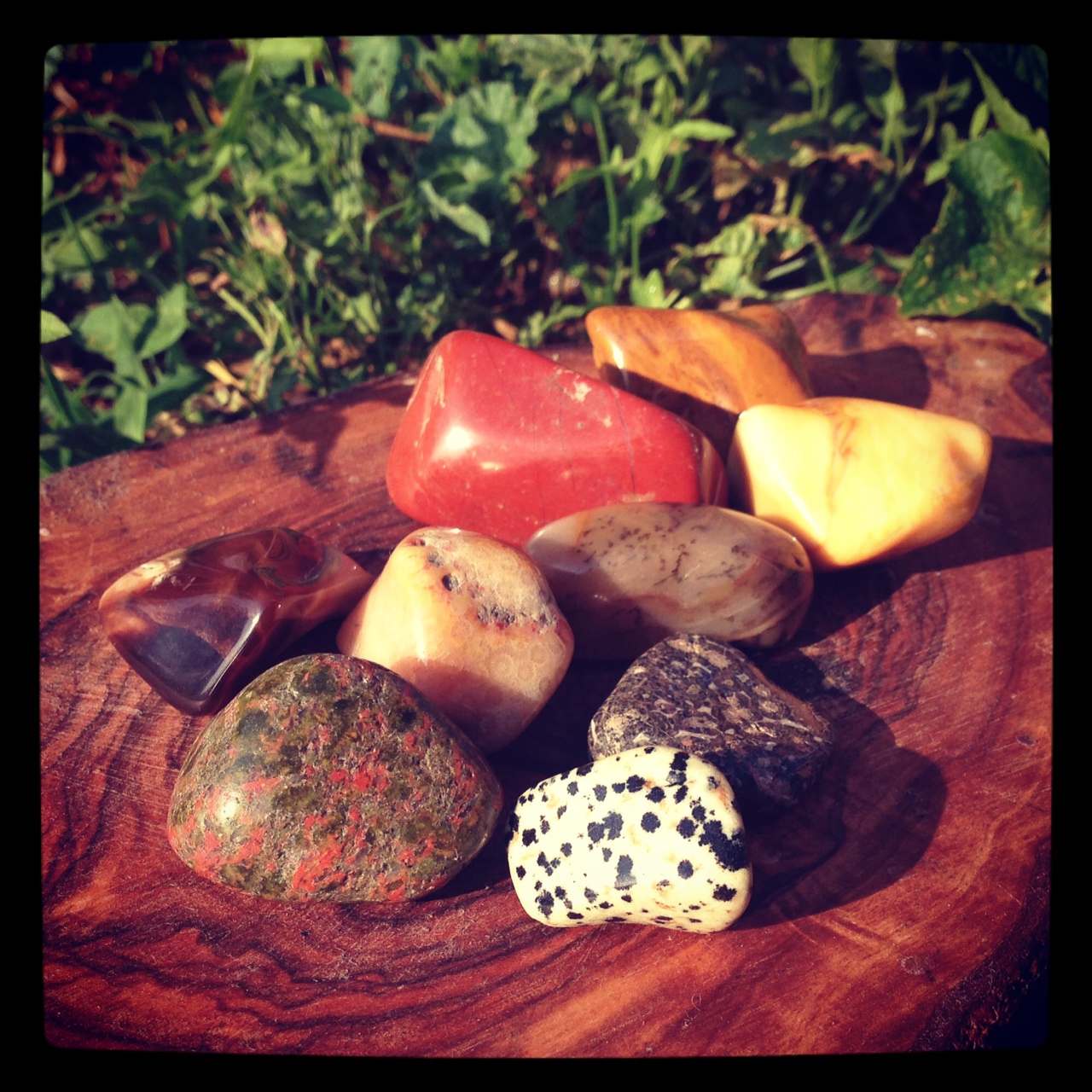 Jaspers differ from one another drastically because of the way they mix with that 20% of foreign matter. Starting in the front and moving clockwise: Unakite, Brown Jasper, Unsure of this jasper, but sure it is one,Red Jasper, two Yellow Jaspers, Picture Jasper, Leopard Skin Jasper, and Dalmatian Stone.