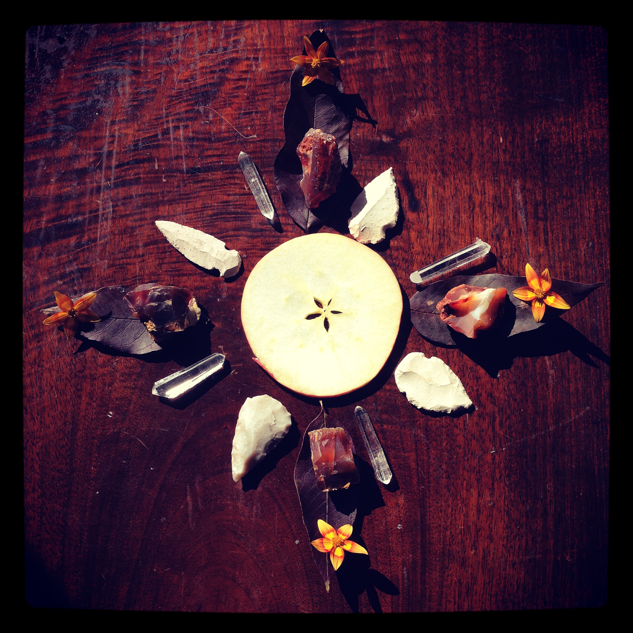  autumn mandala with clear quartz, carnelian, apple, white arrowheads, and autumn blooms. 