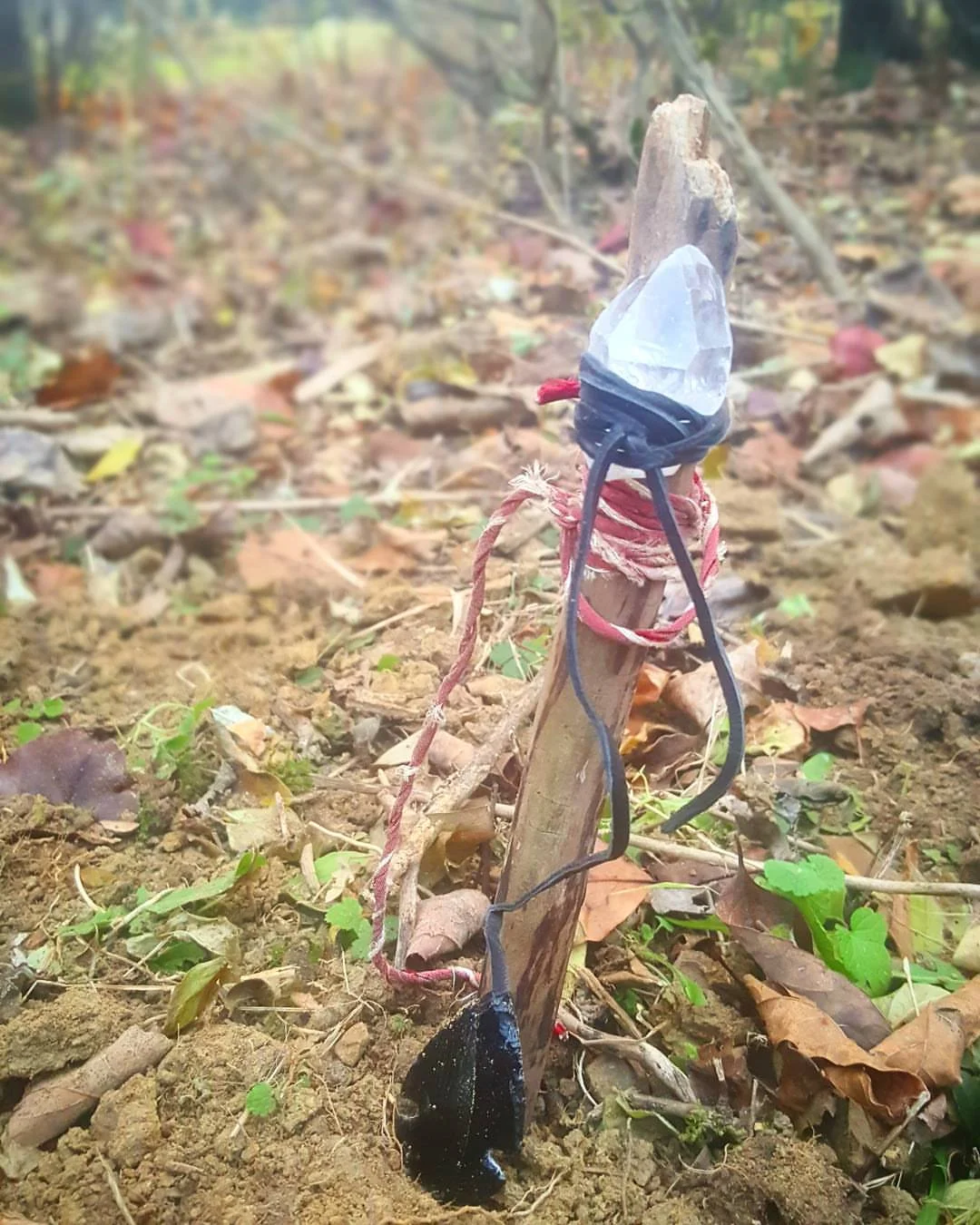 The prayer stick I created for the Vulture I harvested in 2016.