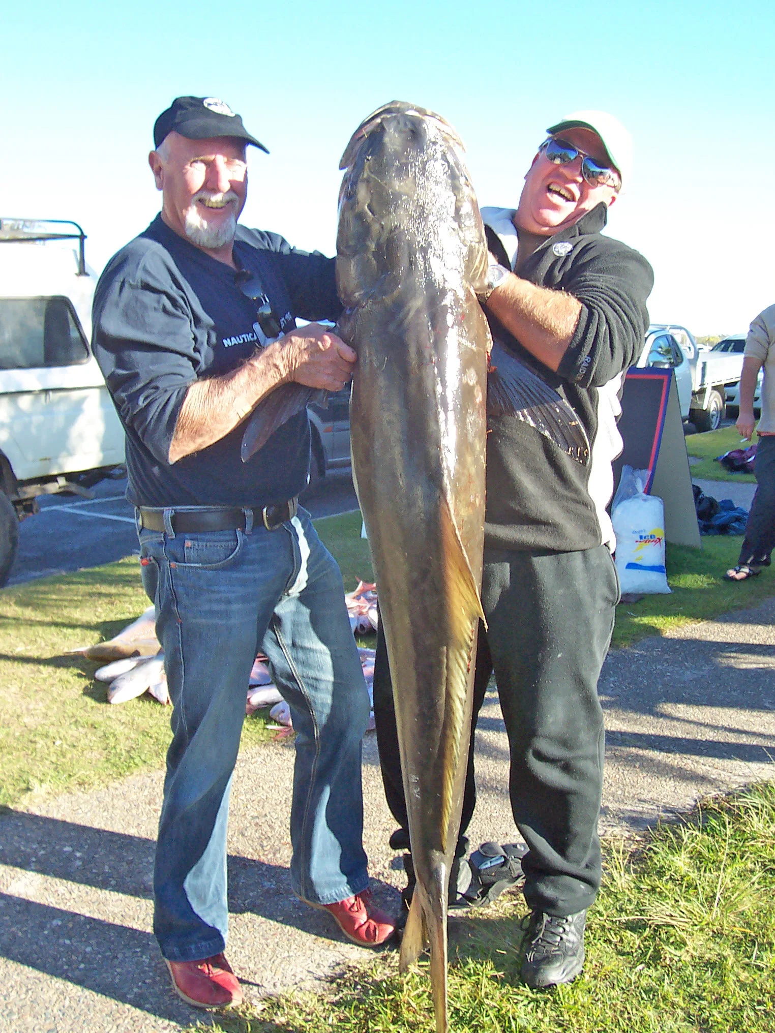 Approx. 60kg Cobia