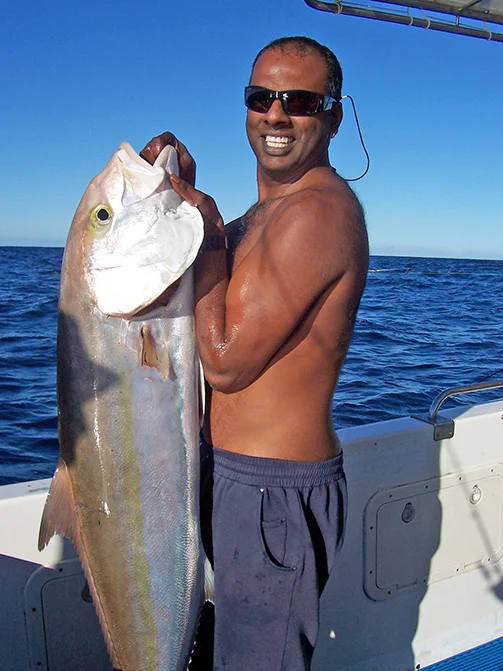 Approx. 25kg Amberjack
