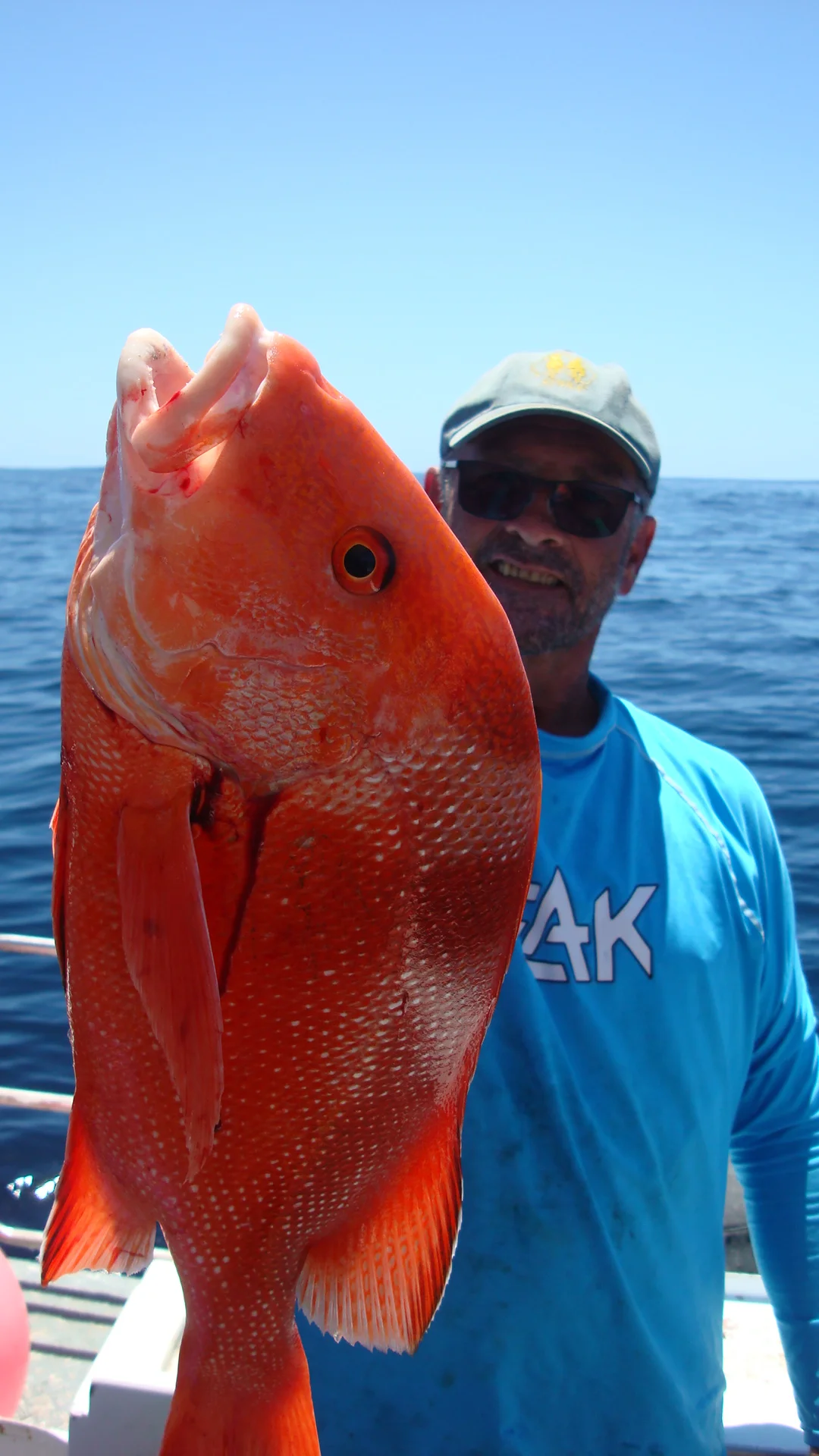 Catches — Rainbow Beach Fishing Charters