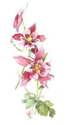 Columbine.jpg