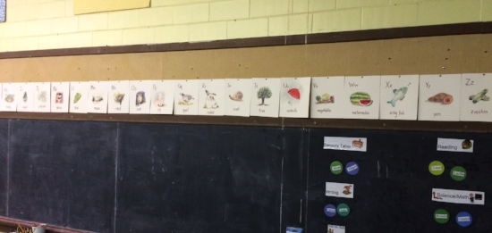 Love this school and how perfectly these nature inspired ABC cards fit into this classroom environment. 