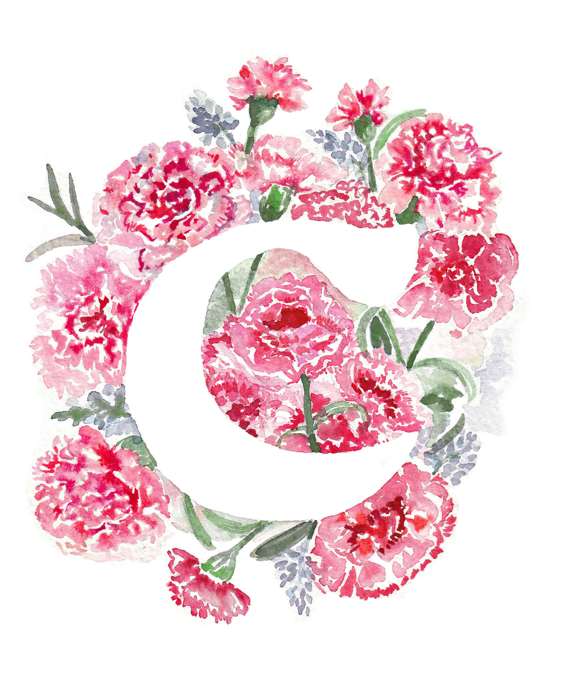 C Carnation.jpg