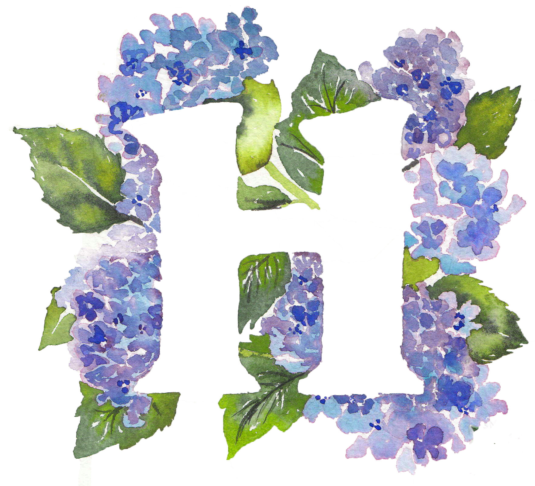 H0Hydrangea Redo.jpg