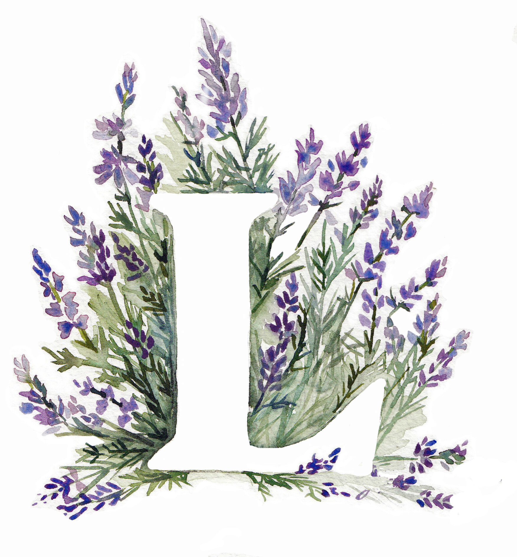 L Lavendar C&C.jpg