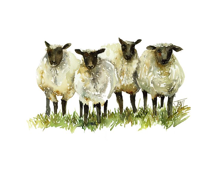 FourSheep.jpg