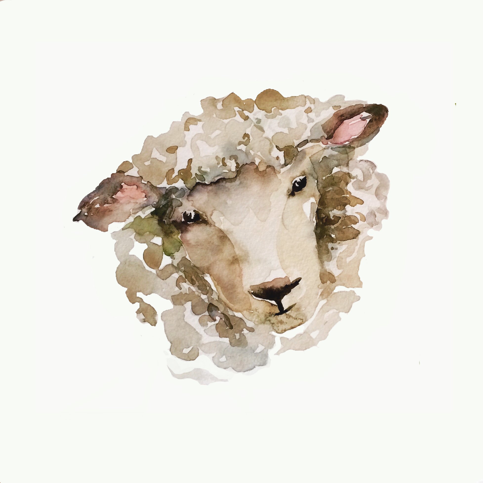 Behold the Lamb.jpg
