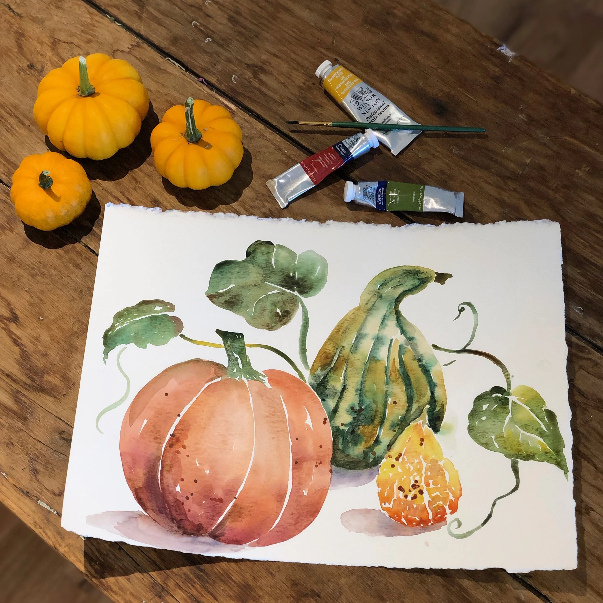 Pumpkins and Gourds.jpeg