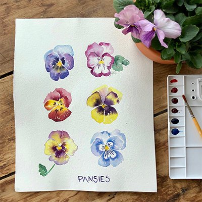 Boars Head Pansies.jpg