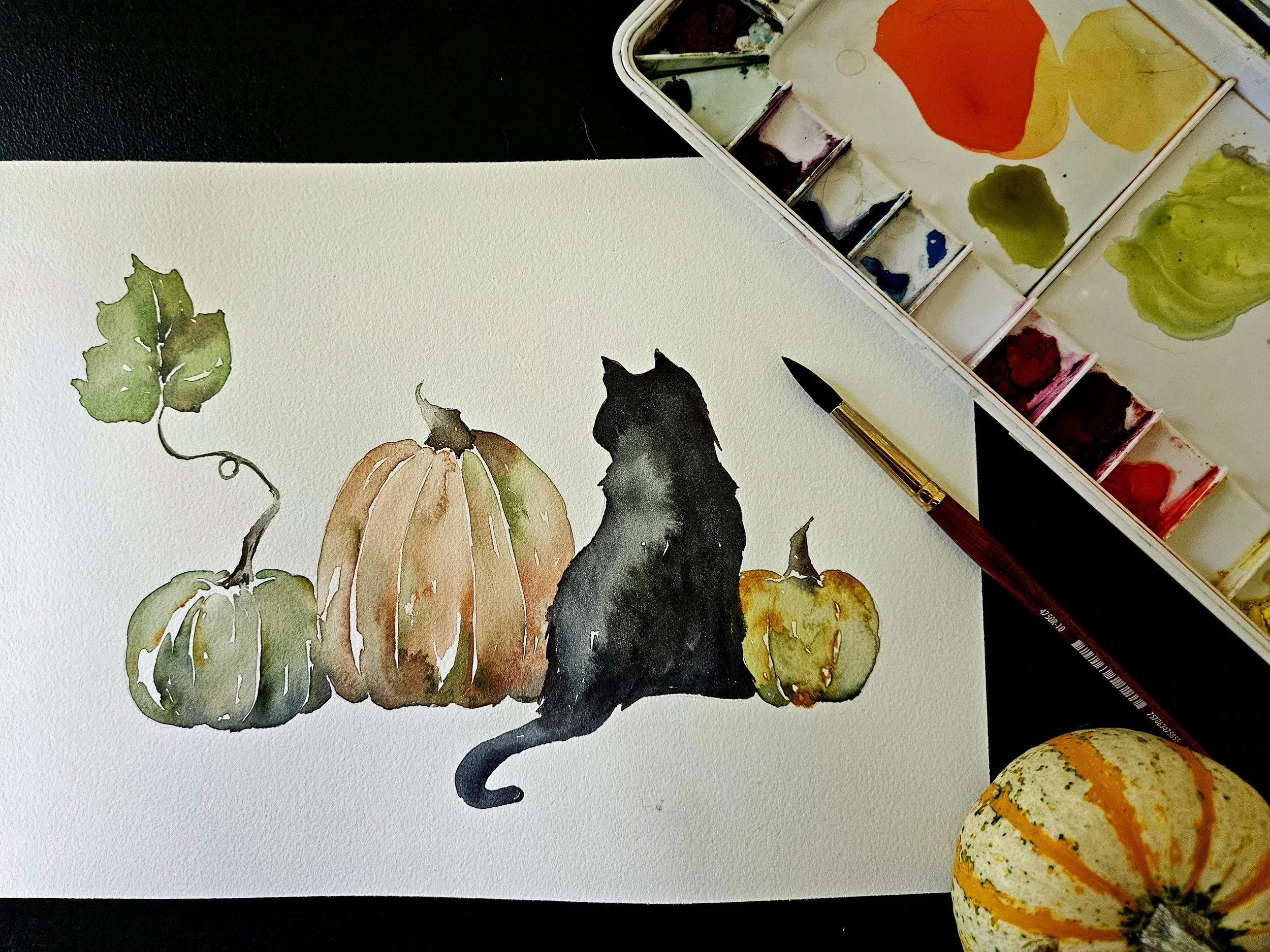 Oct 11 Pumpkins and Black Cat 1.jpg