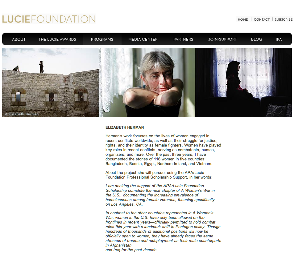 The APA/Lucie Foundation Professional Scholarship