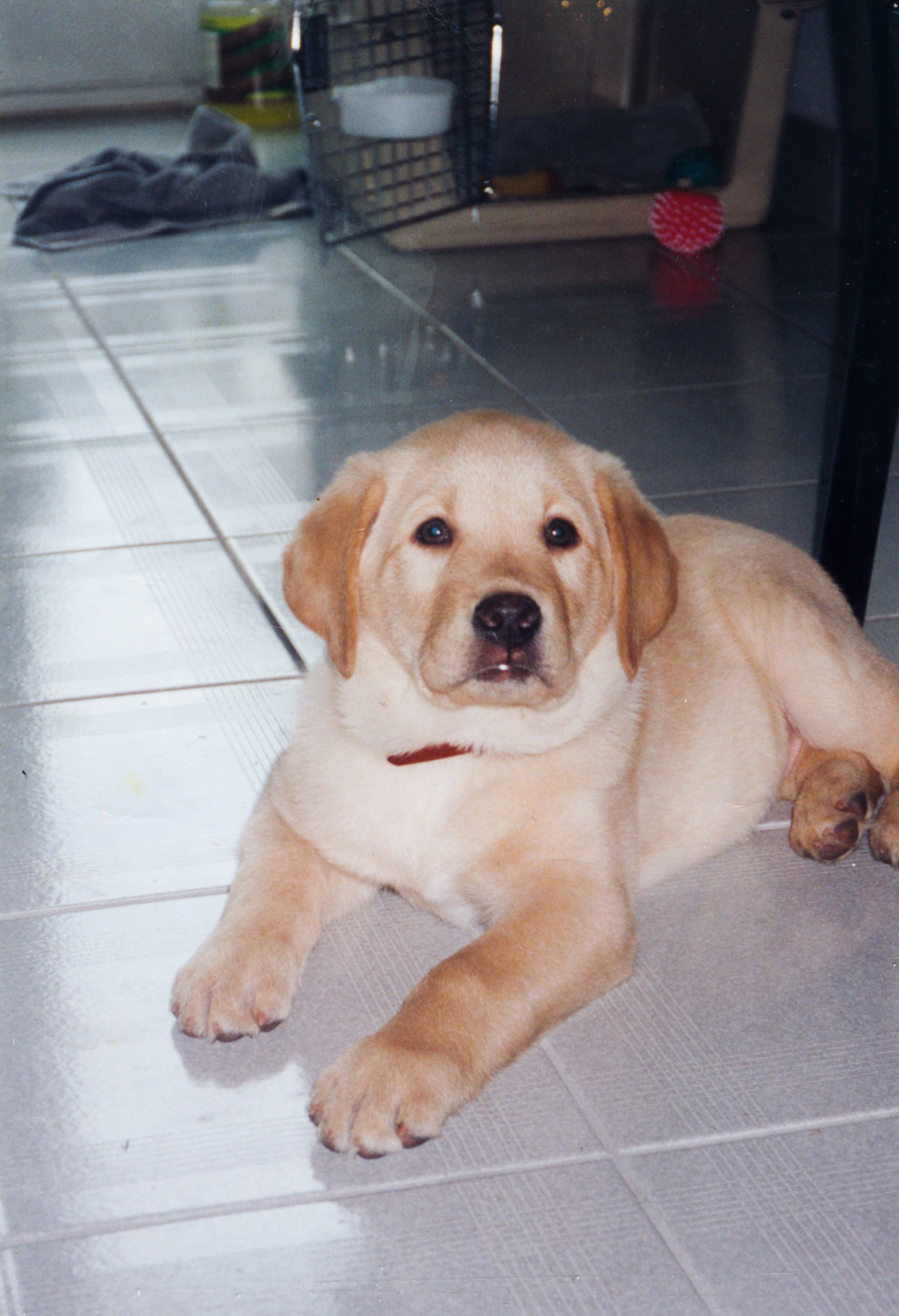 Scan 1174.jpeg