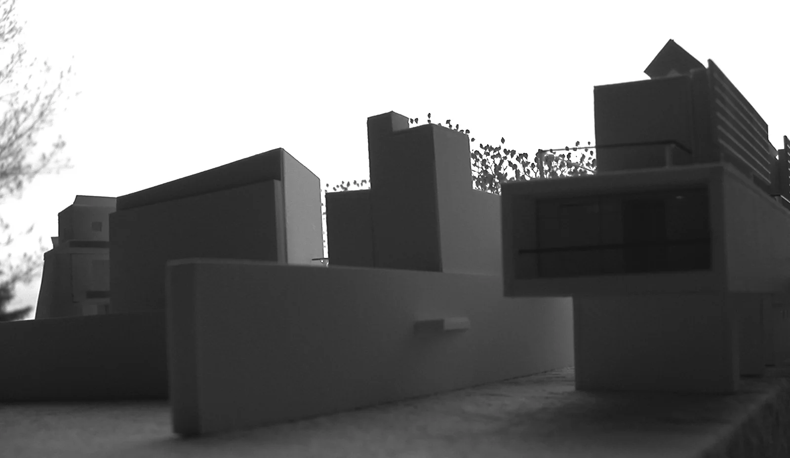 DSCN2637-2.jpg