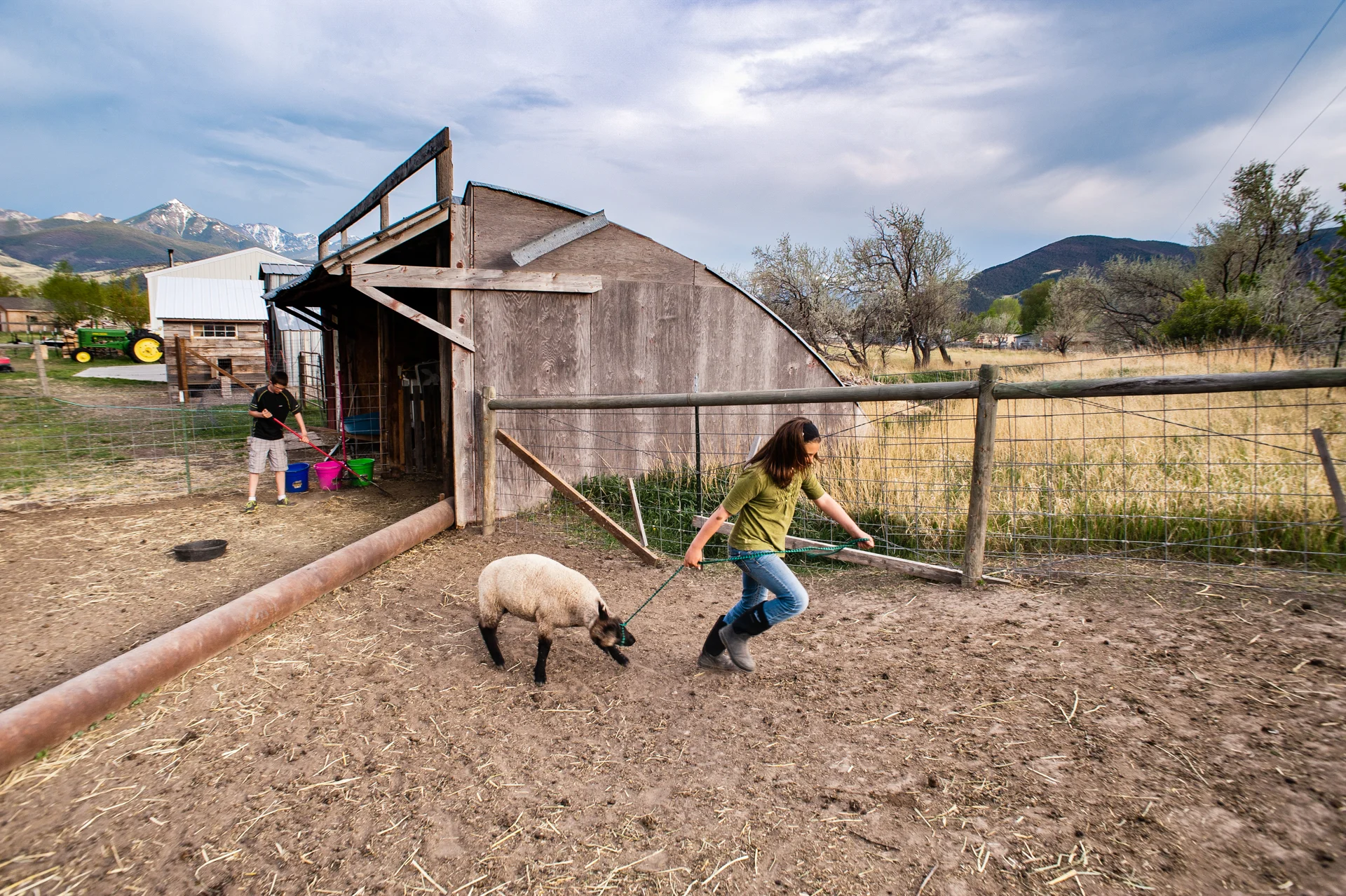 The 4-H program offers children the opportunity to develop life and business skills. The Daltons have even earned enough money through their lamb sales to continue the business, put money aside in a college fund and pay for ski passes at nearby Bridger Bowl.