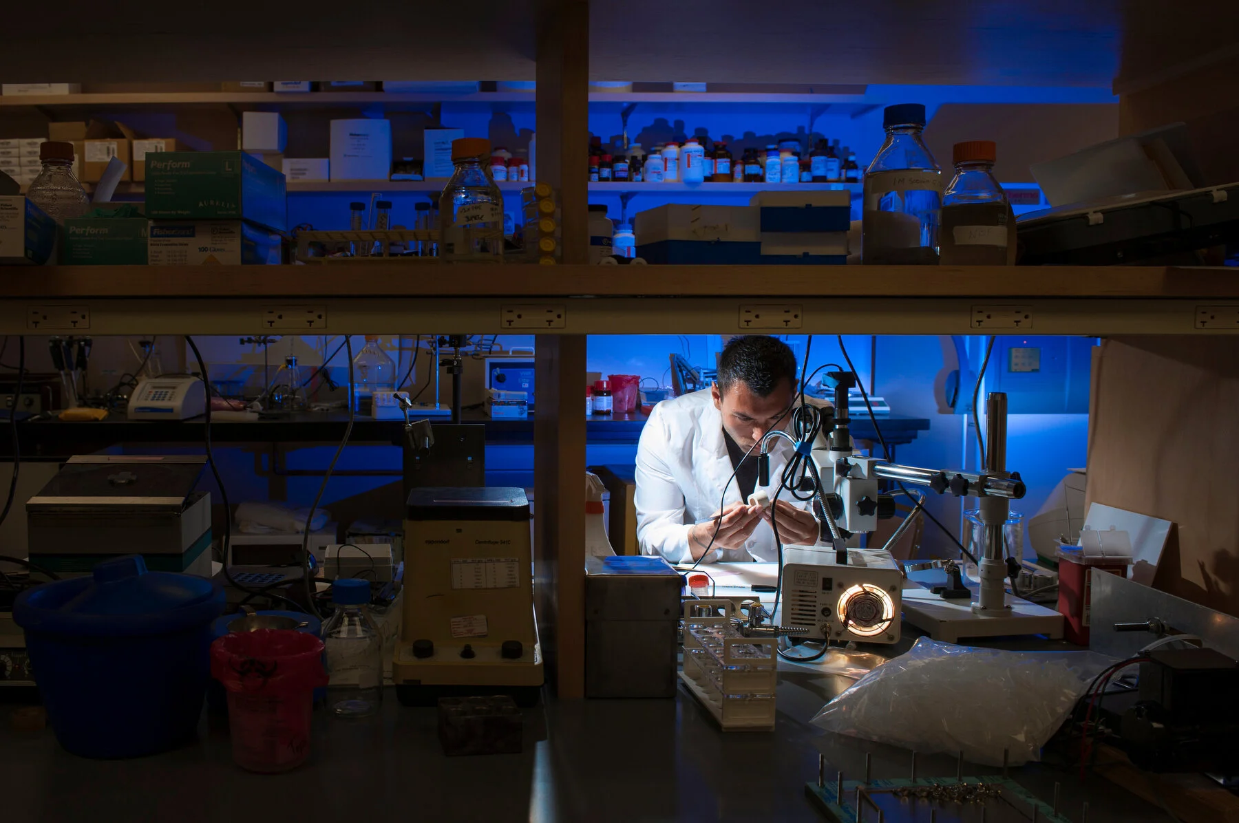  A graduate student studies bone fragments in a Montana State University laboratory. 