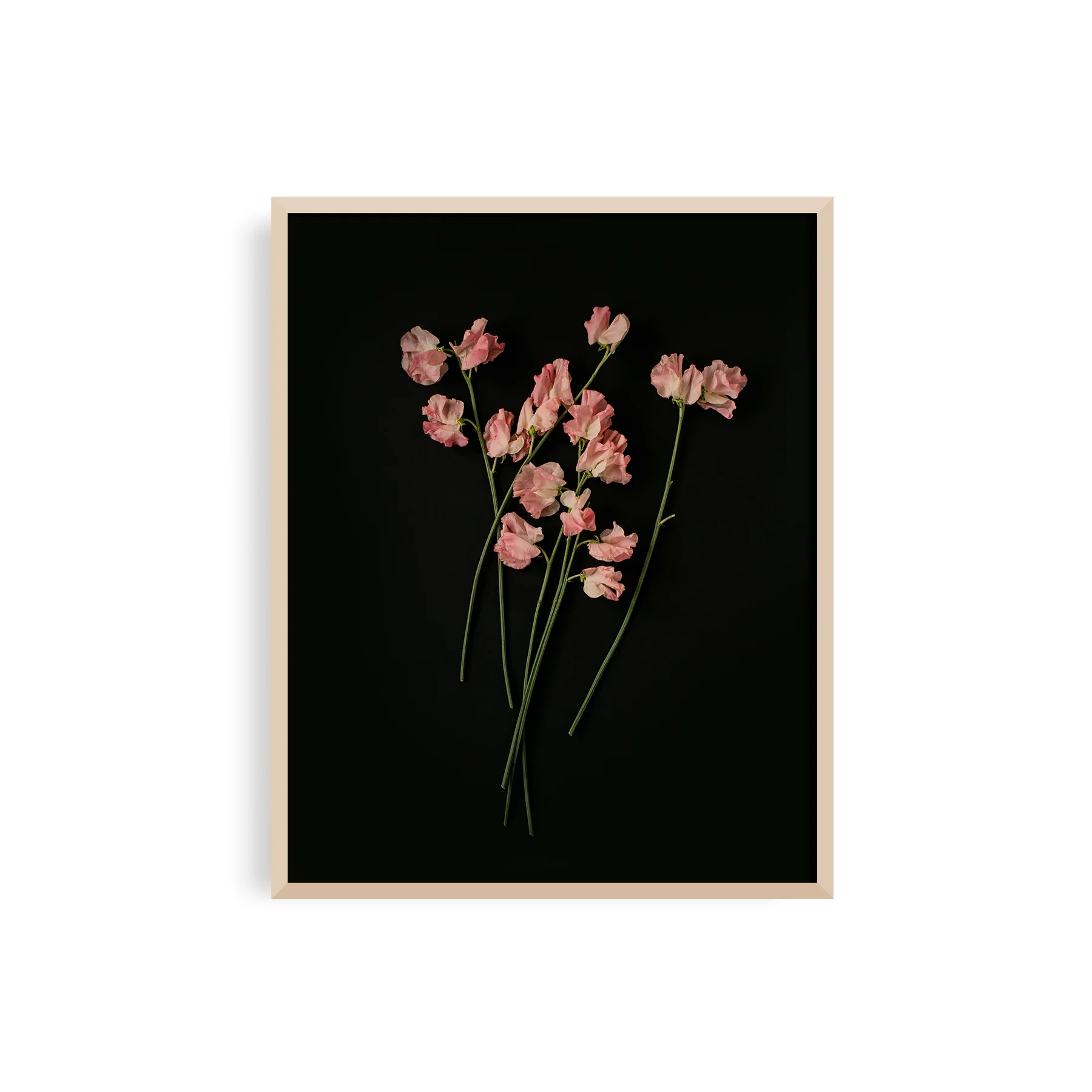 The_Weekend_Type_Korie_Herold_fleur_no2_01.jpg