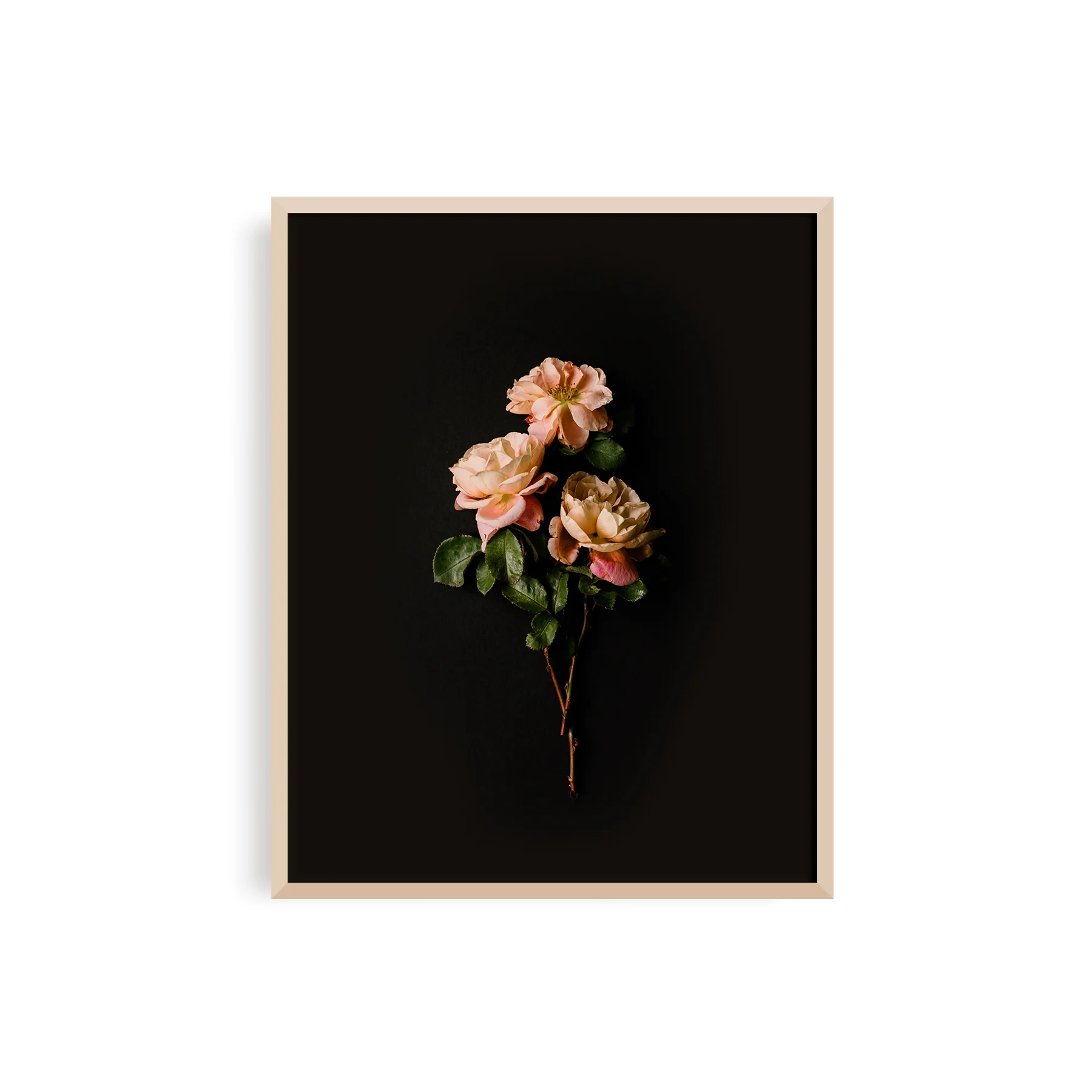 The_Weekend_Type_Korie_Herold_fleur_no3_01.jpg