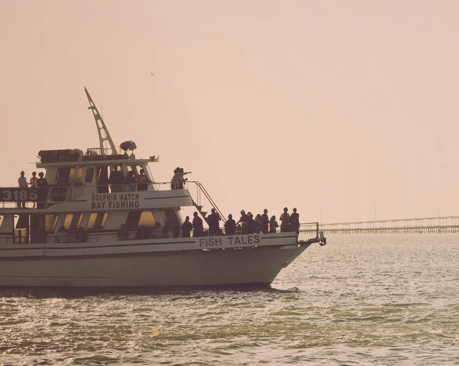 dolphin-watch.jpg