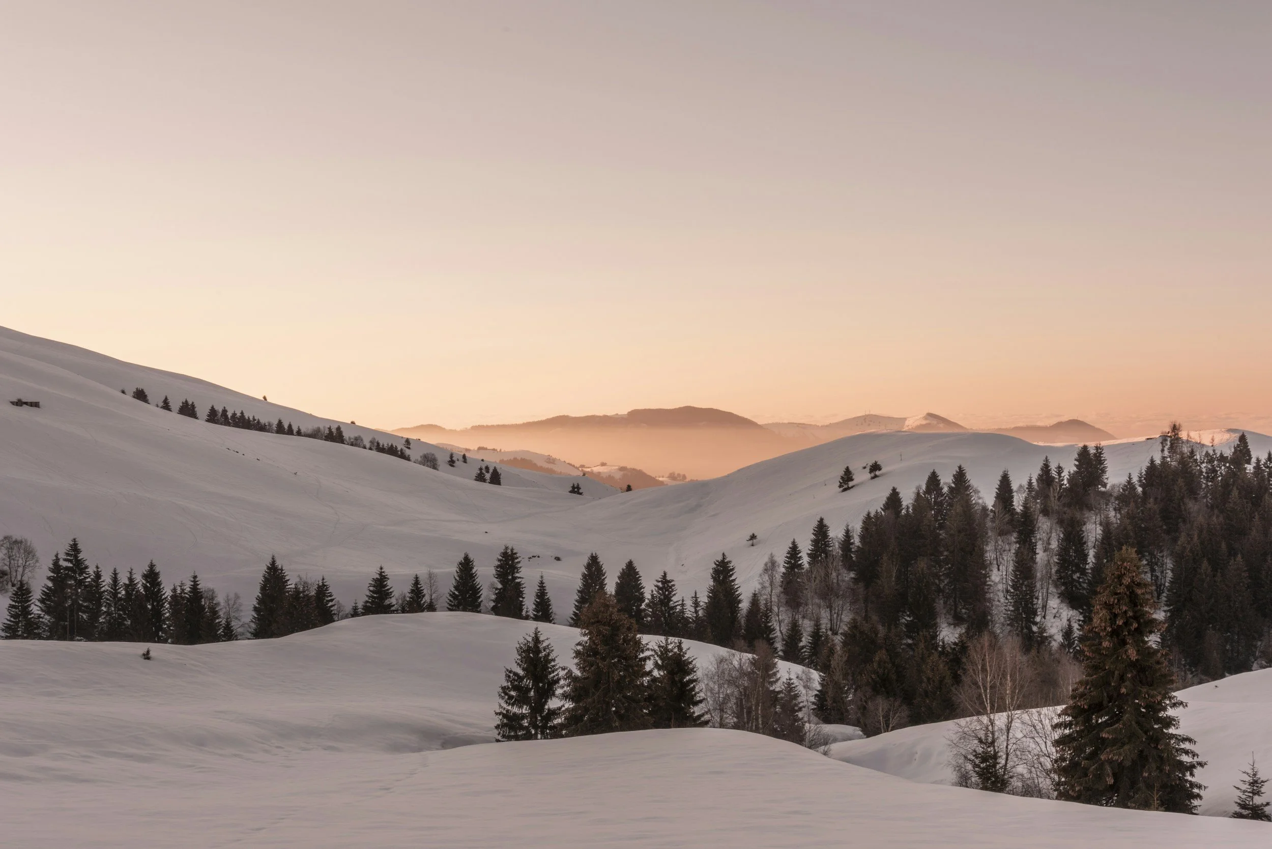 Grief therapy idaho