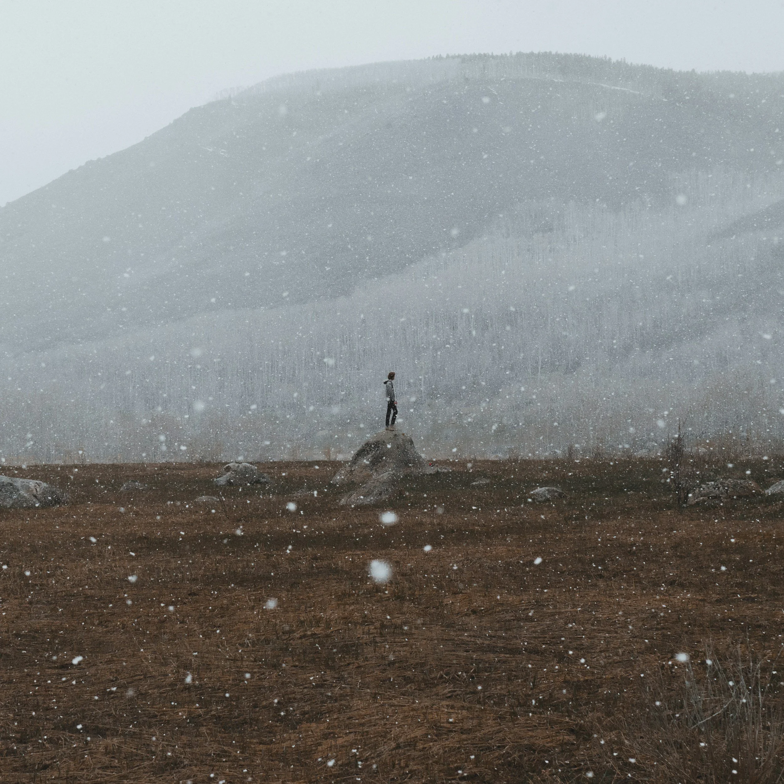 therapy idaho addiction