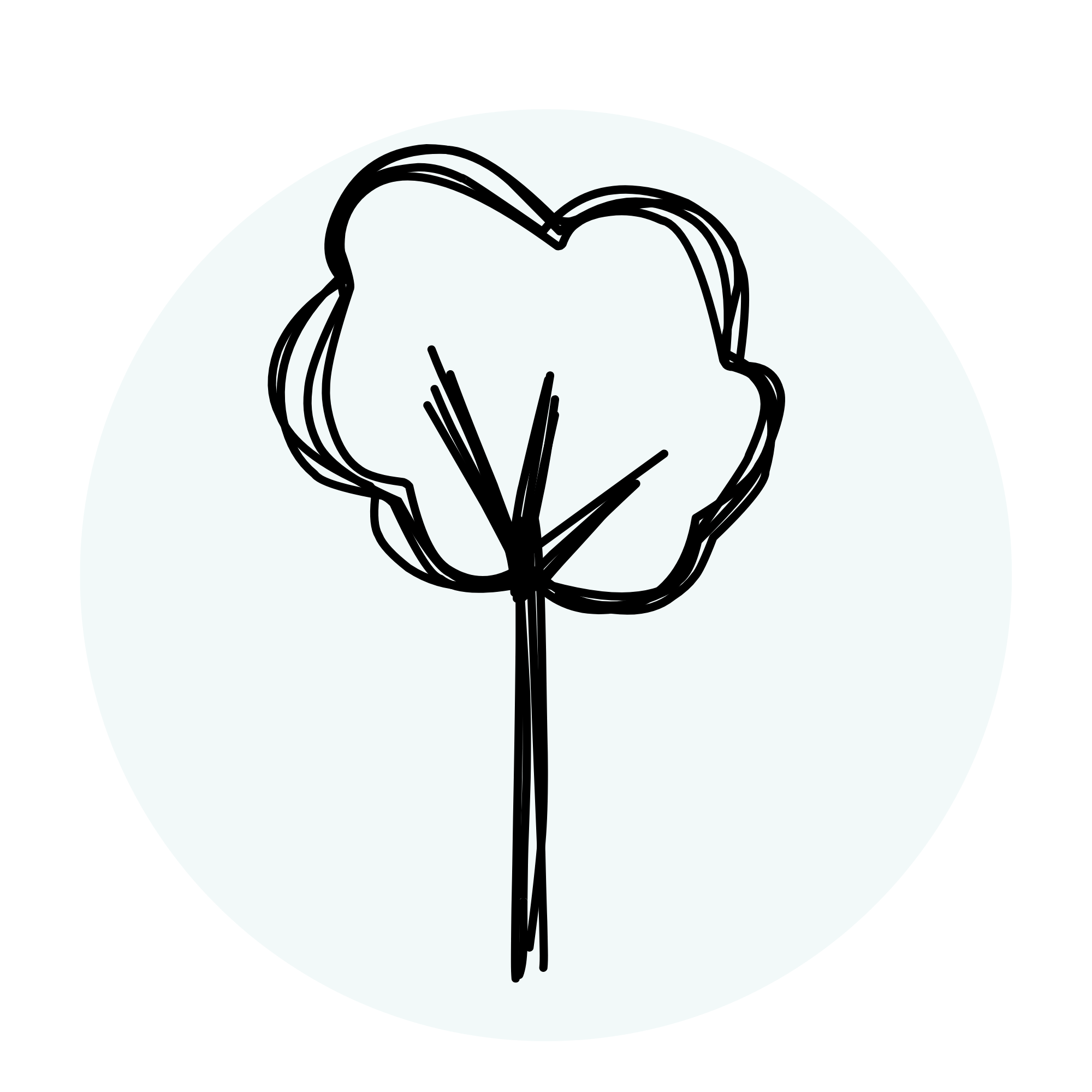 Trauma therapist providing anxiety counseling in Spokane, Washington