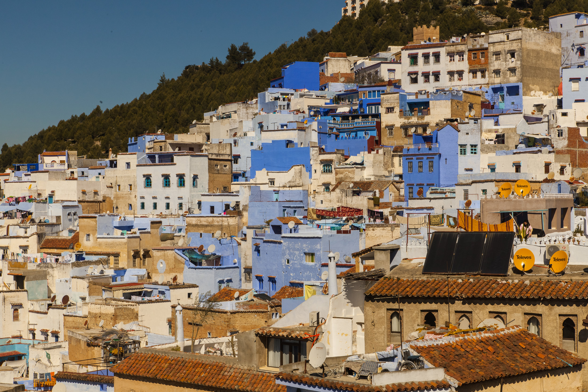 _MG_7418.jpg