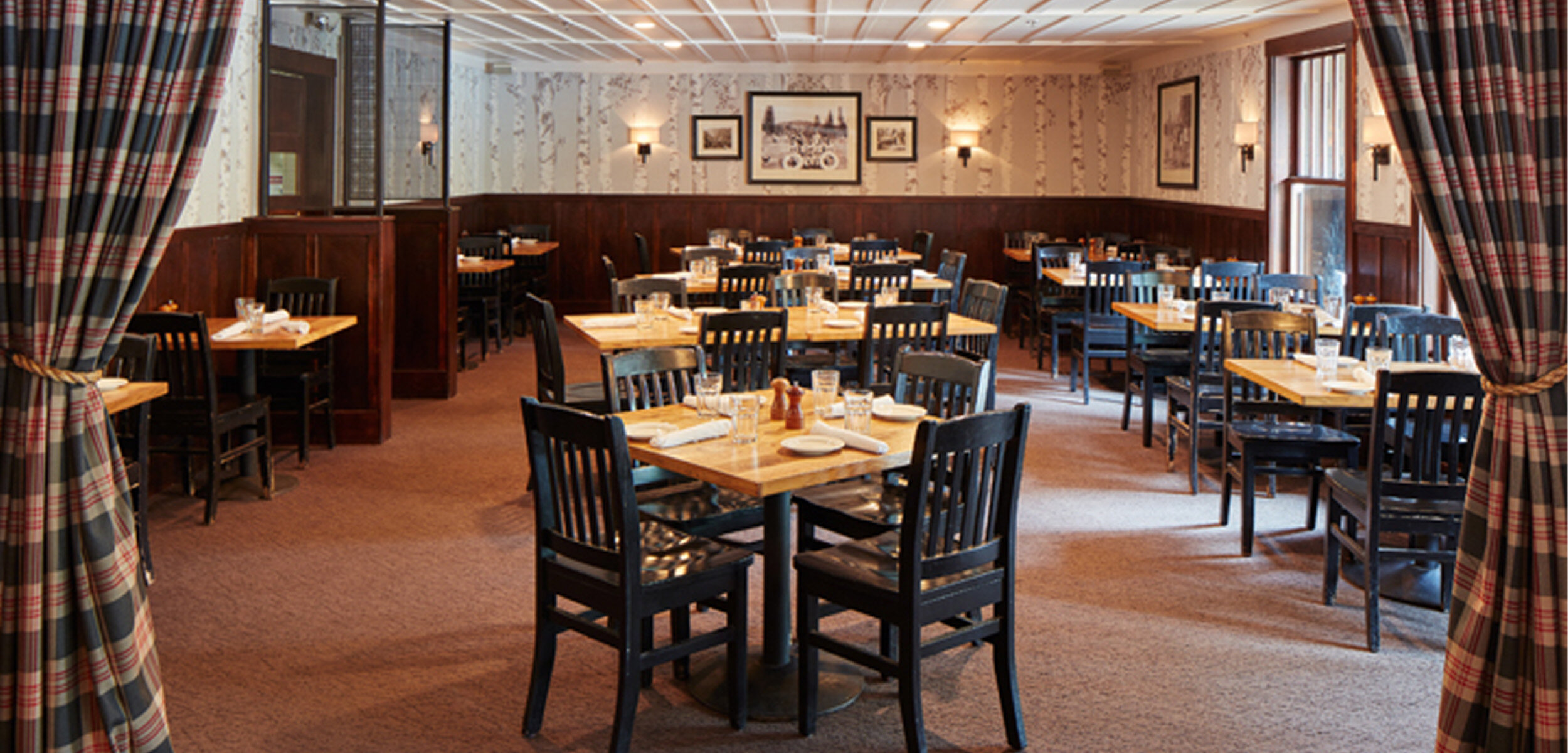 birch wood wallpaper 