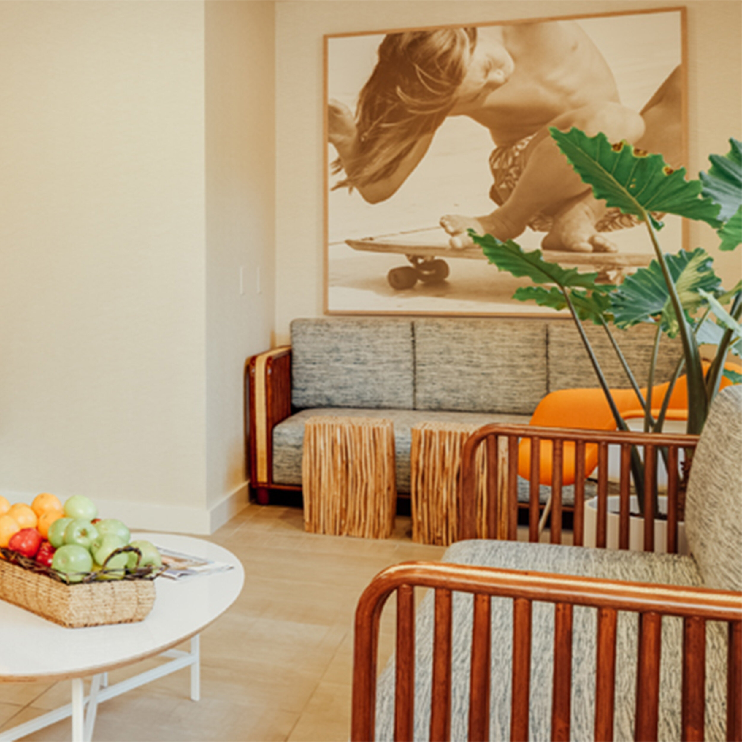 palms-photos2500 x 2500 C.jpg