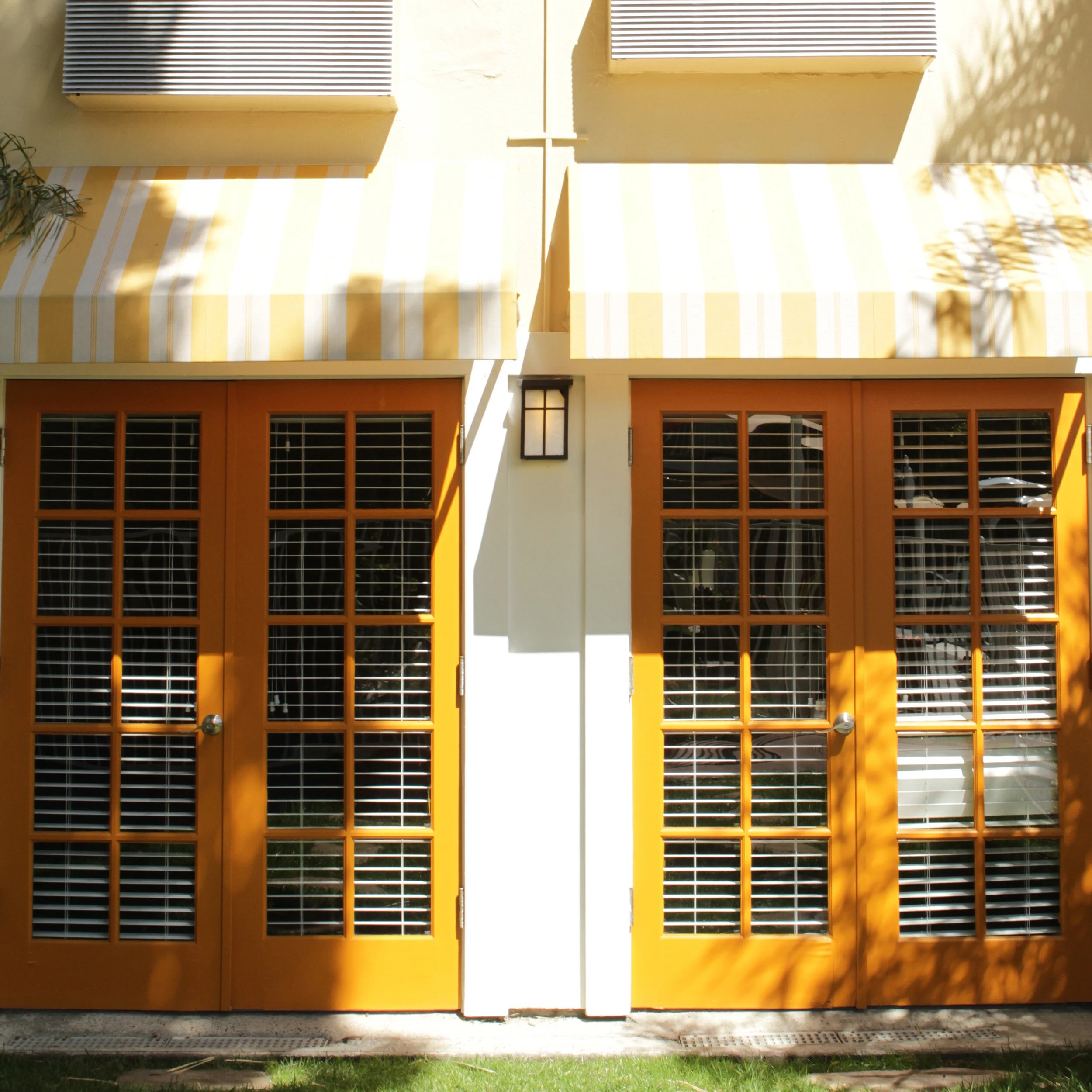 palms-photos2500 x 2500 B.jpg