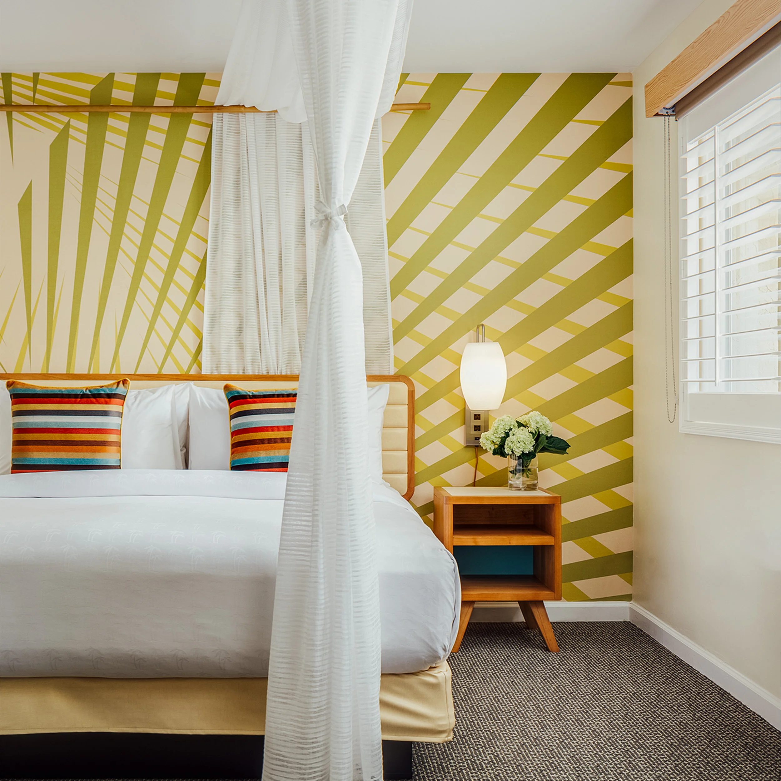 palms-photos2500 x 2500 A.jpg