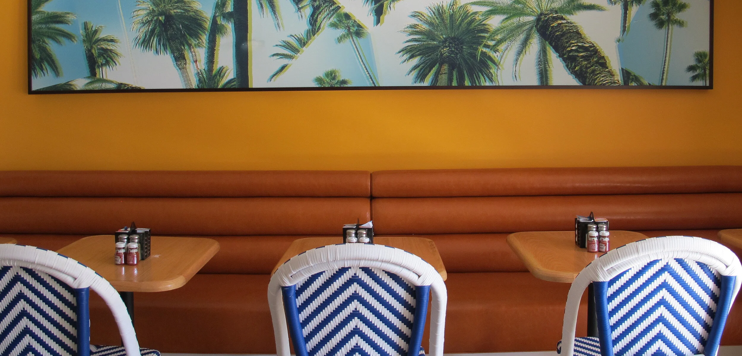 palms-photos2500 x 1200.jpg