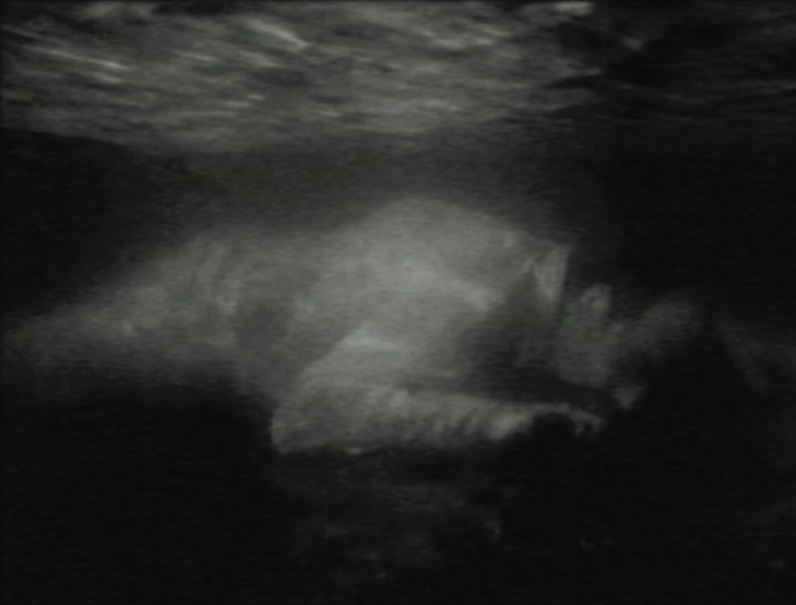 Figura 8. The Night Journey (2008). La figura di un uomo sdraiato nell’acqua. Immagine dalla pagina itch.io di GameInnovationLab.    