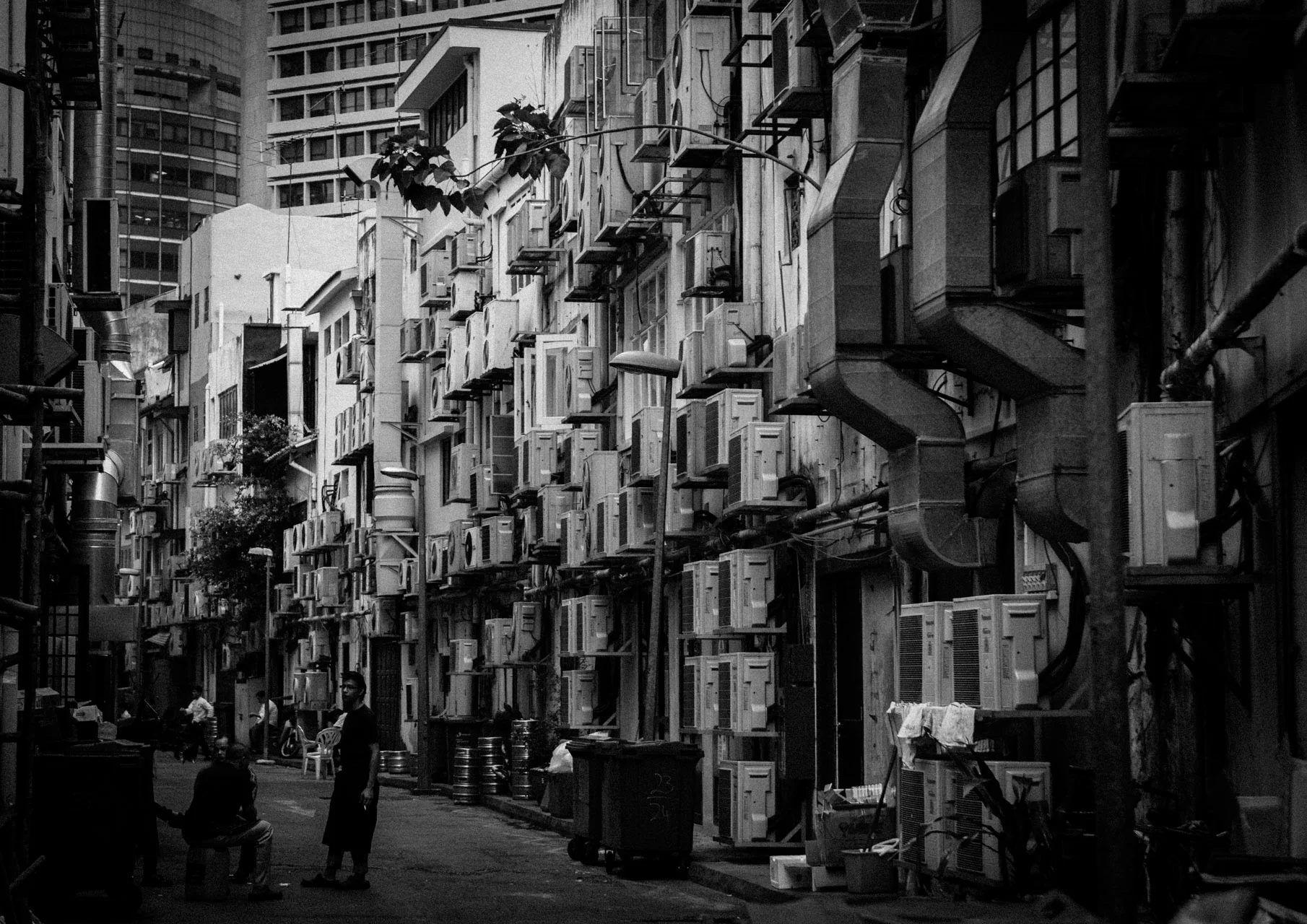 _MG_6552.jpg