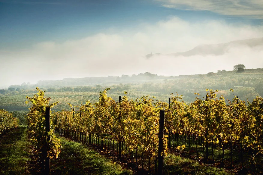 Weingut Gyerhof