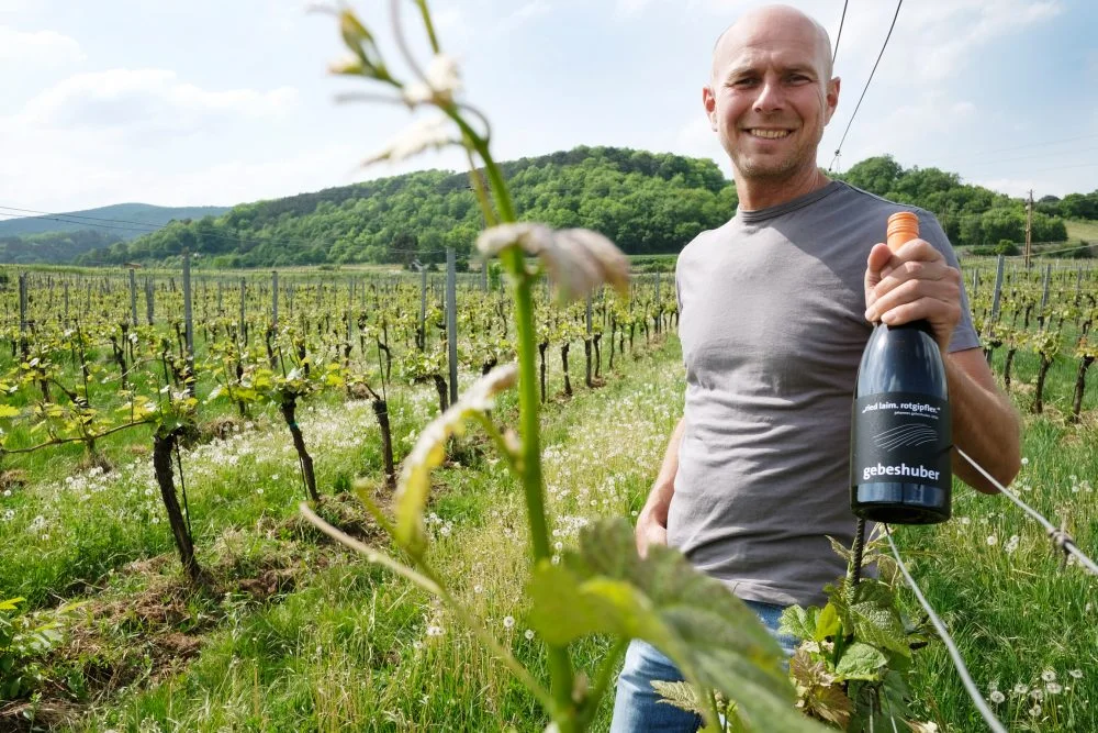 Die weiße Rarität: Johannes Gebeshubers Rotgipfler Laim 2016 ist einer von Österreichs Topweinen! © Steve Haider
