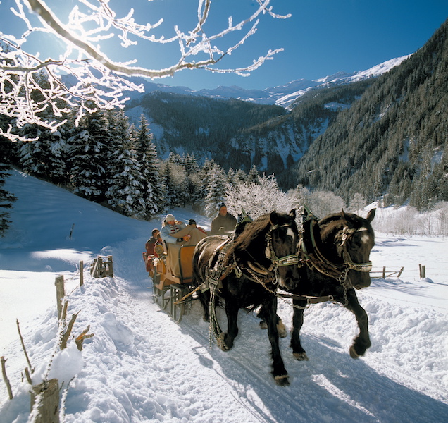GROSSARLER-HOF_Pferdekutsche (c) TVB Grossarltal.JPG