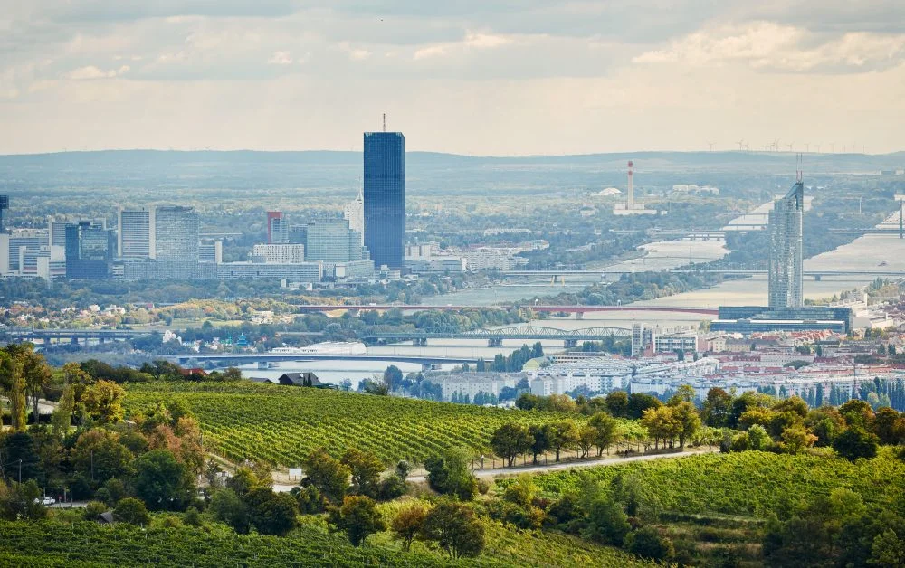 Traumblick. Bis weit über die Stadt reicht der Blick vom Nussberg aus. Dort, wo in anderen Städten Villen stehen, wachsen in der Donaumetropole Trauben. Knapp 600 Hektar Rebfläche liegen innerhalb der Stadtgrenzen. © Herbert Lehmann