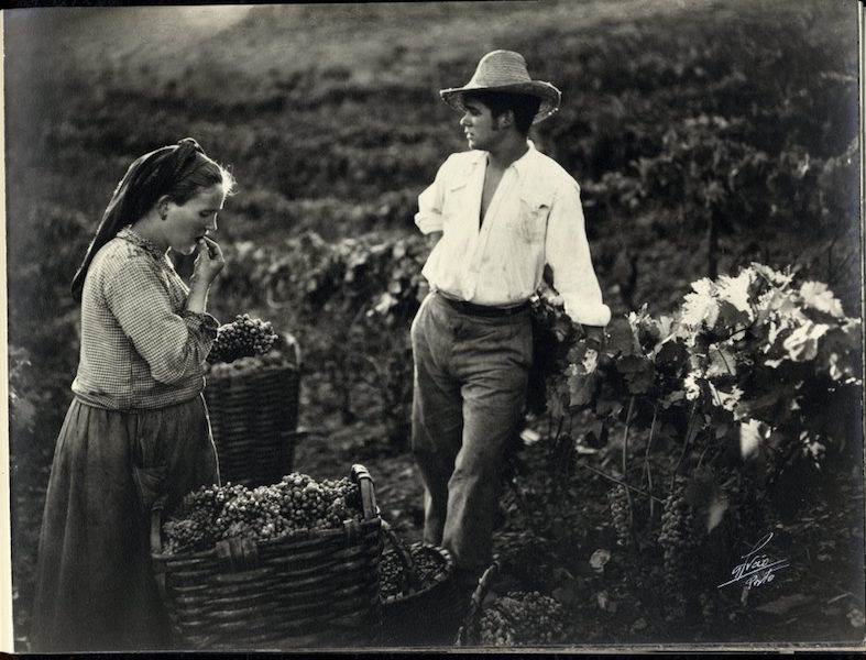 Historische Aufnahme in den Weinbergen der Quinta do Crasto © Quinta do Crasto